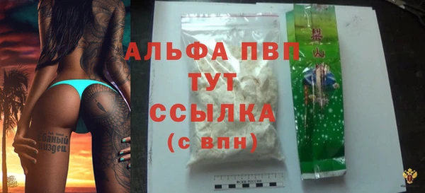 гидра Саяногорск