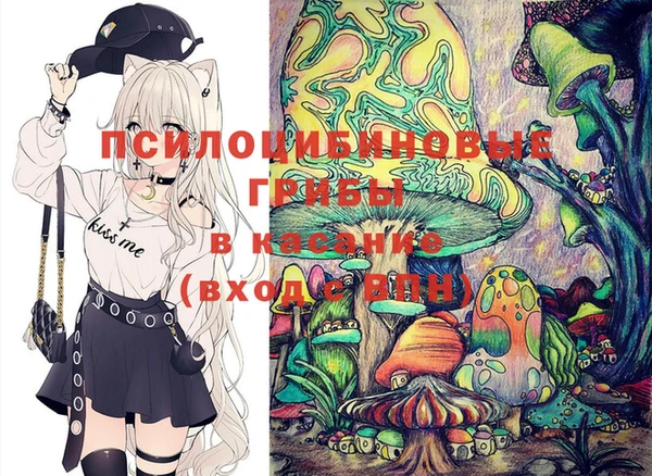 ГАЛЛЮЦИНОГЕННЫЕ ГРИБЫ Абдулино