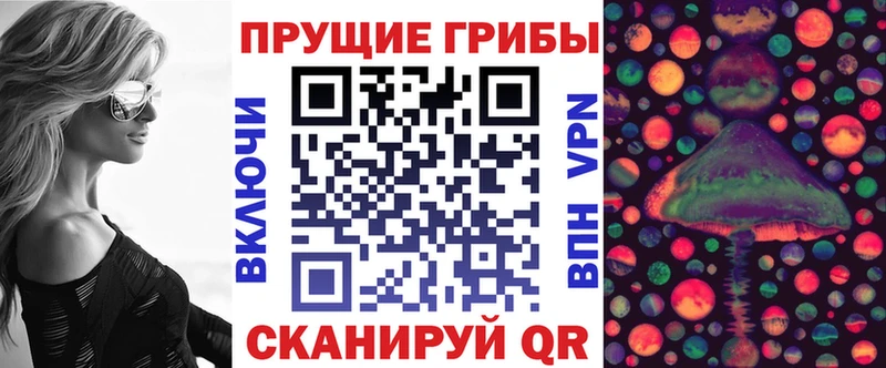 Галлюциногенные грибы Psilocybine cubensis  хочу наркоту  Енисейск 